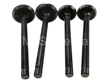 11025-1177 11025-1176 Valve IN-EX