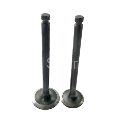 129100-11100 129105-15221 Valve IN-EX