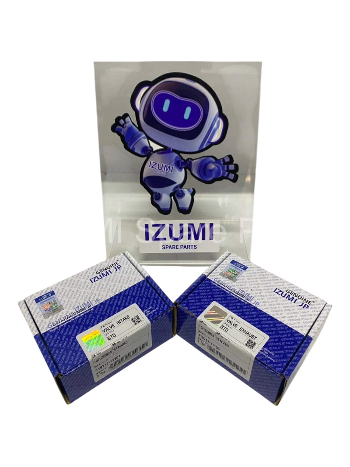 119E10-11100/11110 Valve