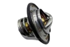 6D107 Thermostat