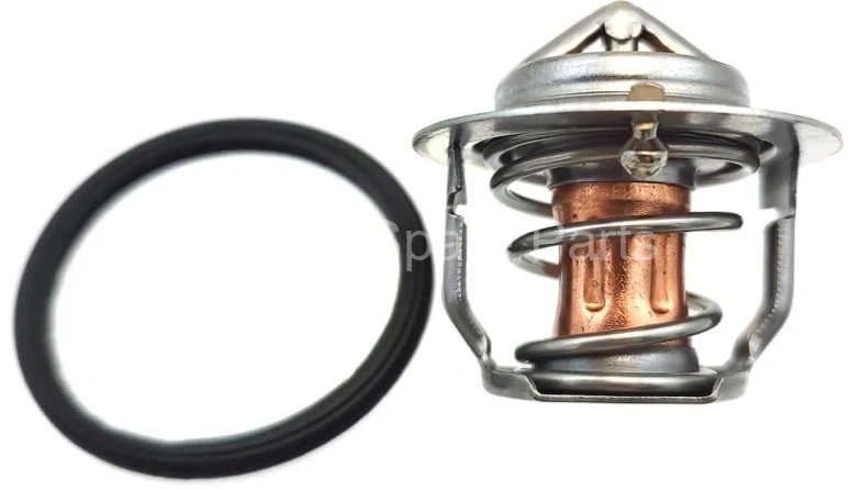 119717-49800 Termostat