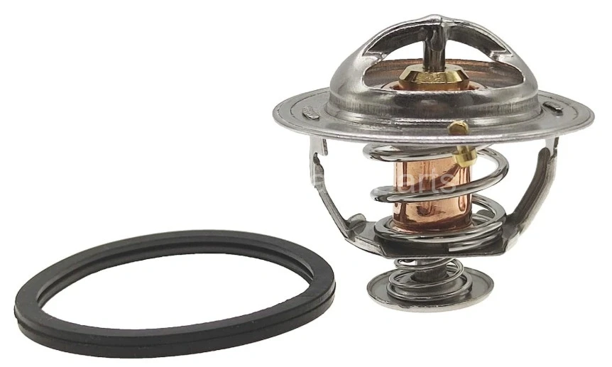 1C011-73010 Termostat